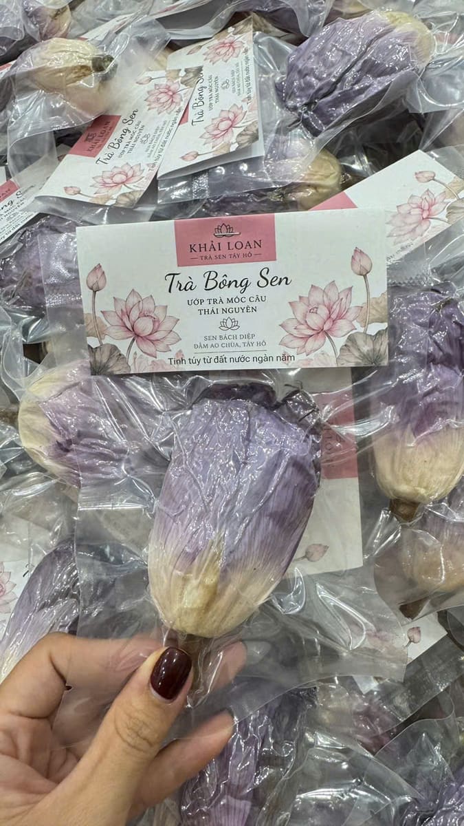 Bàn tay cầm một bông trà sen đã đóng gói giữa nhiều túi khác
