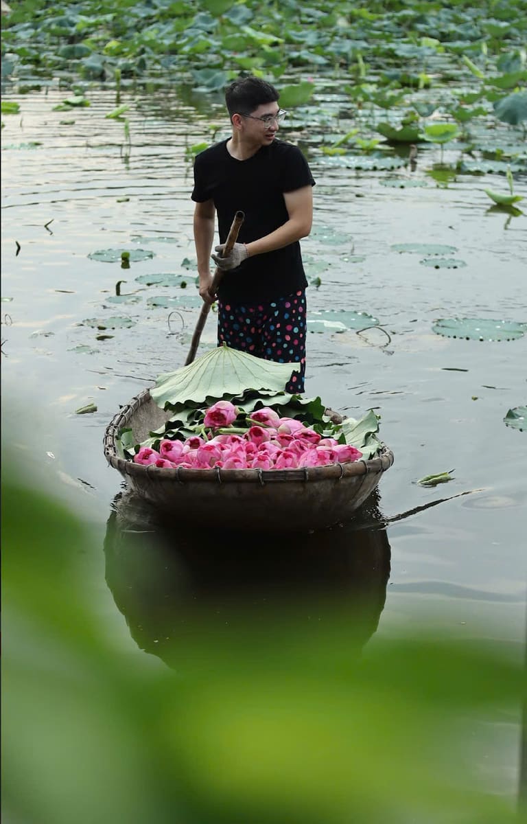 Người đàn ông đứng trên chiếc thuyền thúng đầy sen giữa đầm