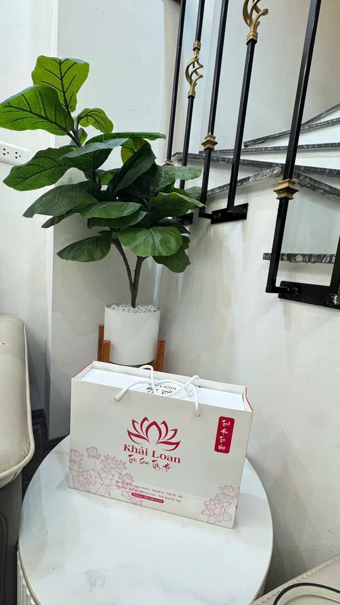 Túi giấy và hộp quà trà sen Khải Loan đặt cạnh chậu cây